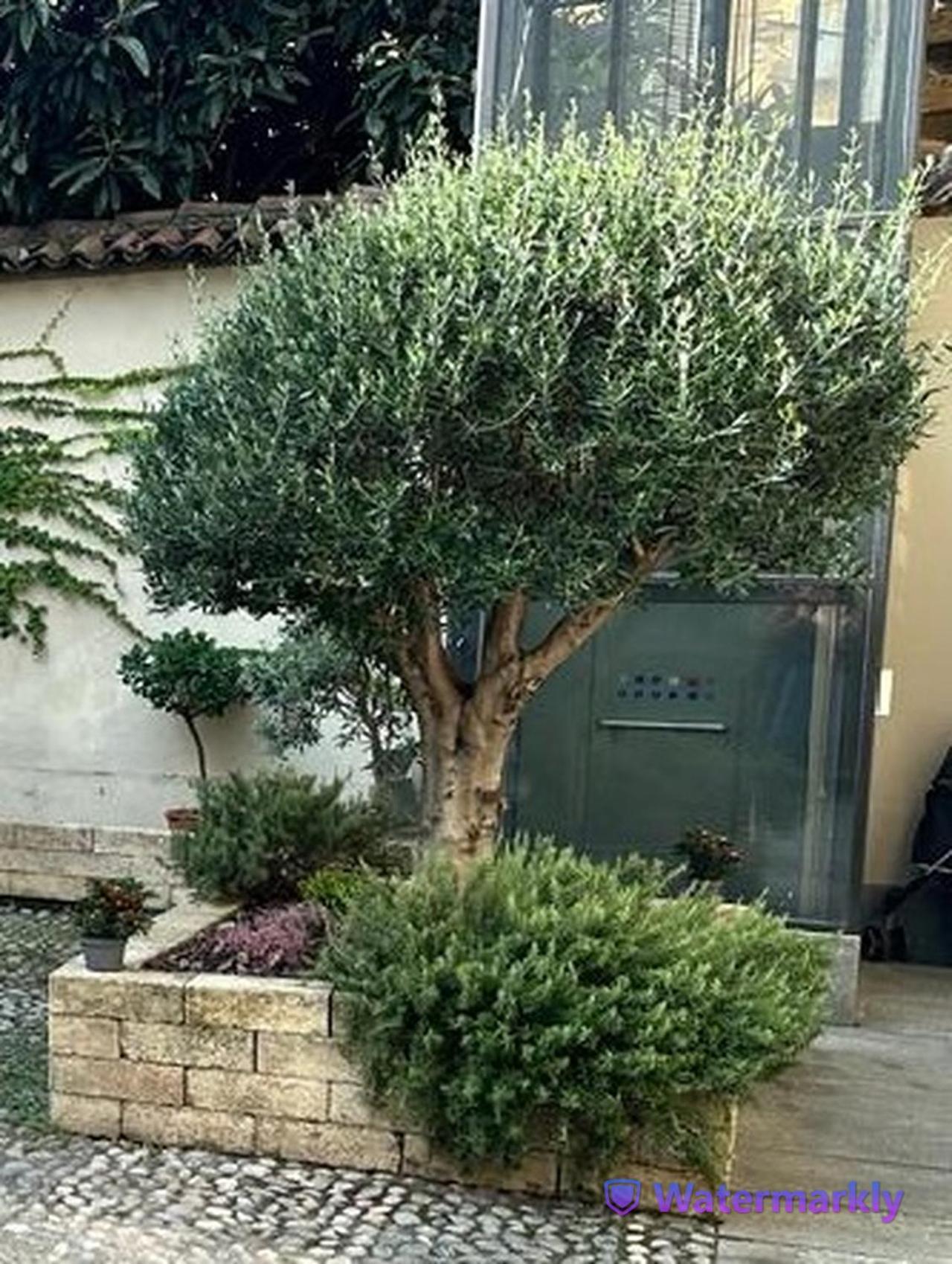 Le Tre Ca', Ca' Cecilia, Ca' Nina, Ca' Vittoria Apartment อัสตี ภายนอก รูปภาพ